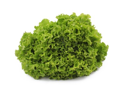 Салат романо 1 кг - купить в Малешоре