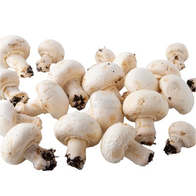 Шампиньоны свежие 500 г - купить в Малешоре