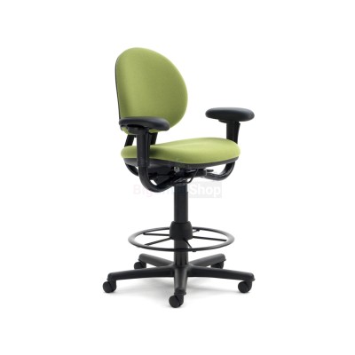 Рабочий стул ErgoPlus - купить в Малешоре